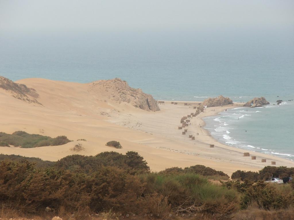 LA COTE ORANAISE 2005 LA MACTA 01.JPG